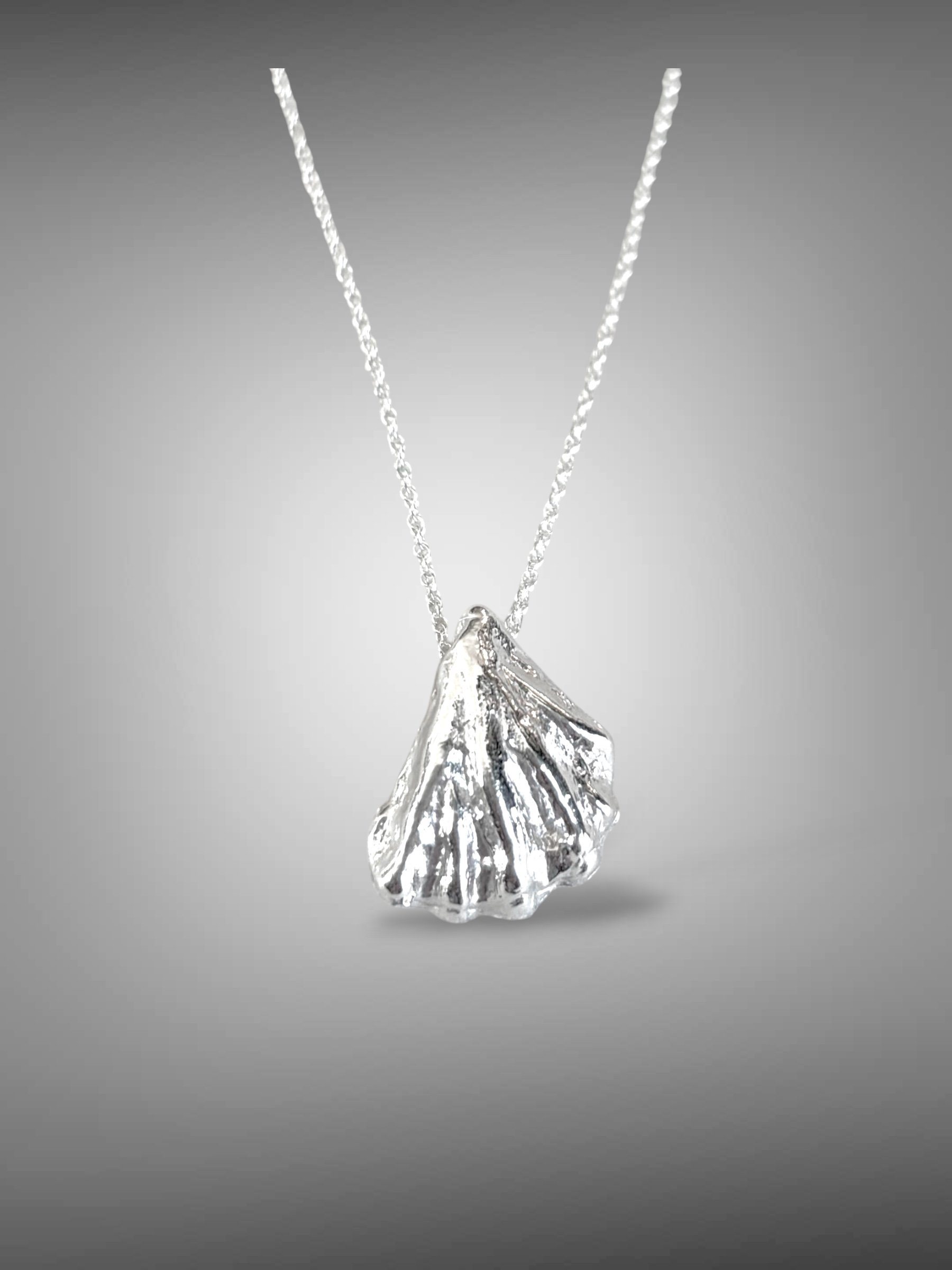 Cat's Paw Shell Necklace a.jpg (Copy)