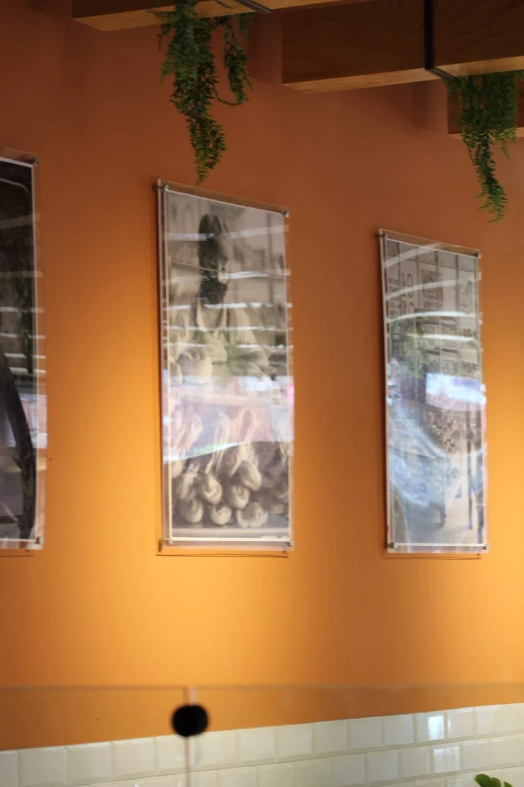 WhatsApp Image 2025-07-21 at 3.24.01 PM.jpeg