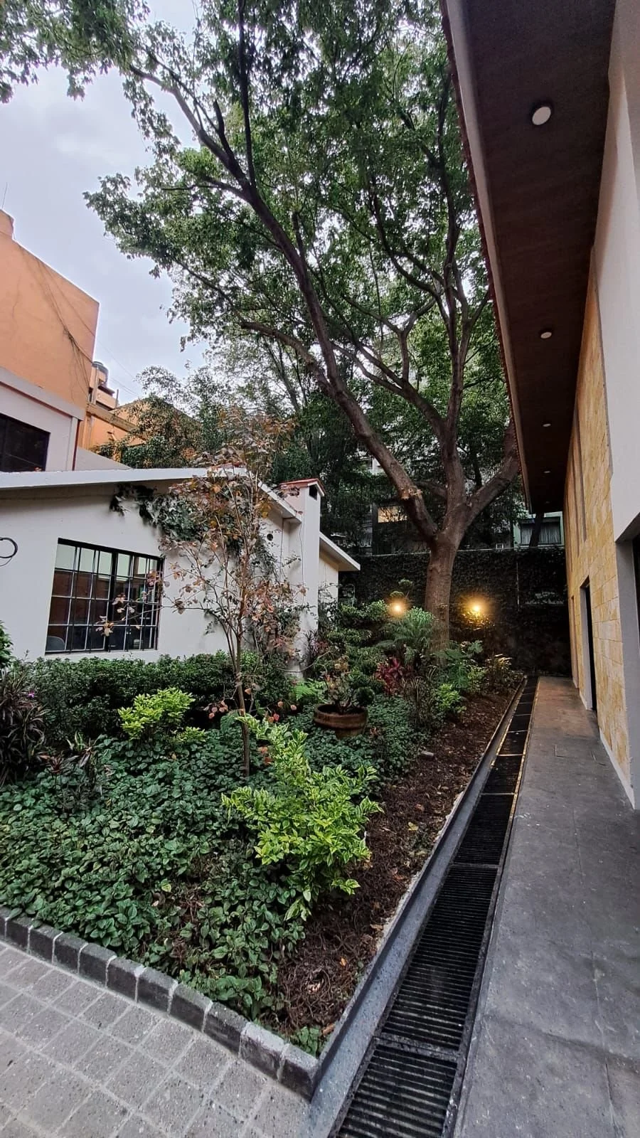 WhatsApp Image 2025-10-03 at 4.40.50 PM.jpeg