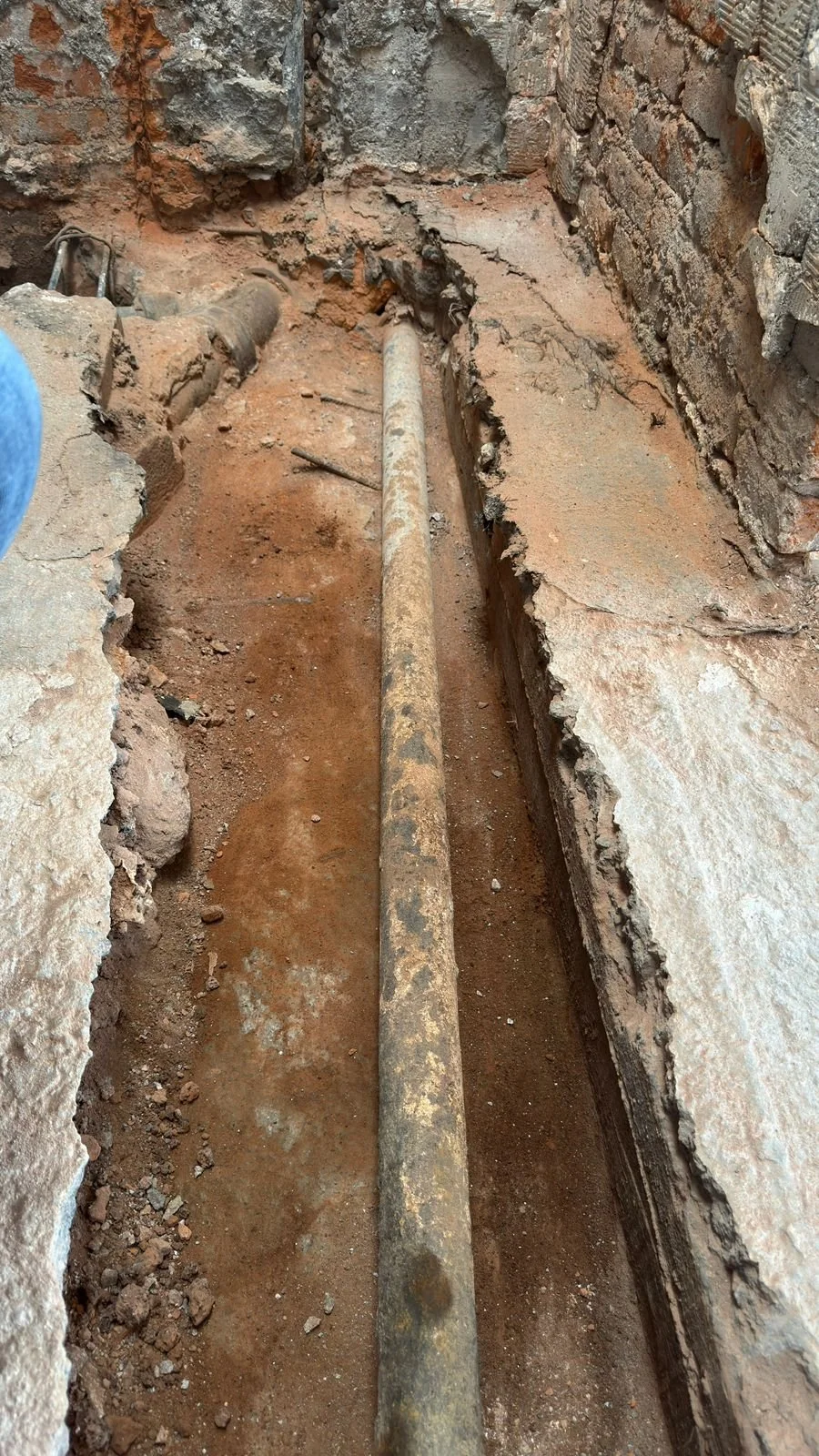 WhatsApp Image 2026-01-31 at 12.59.37 PM.jpeg