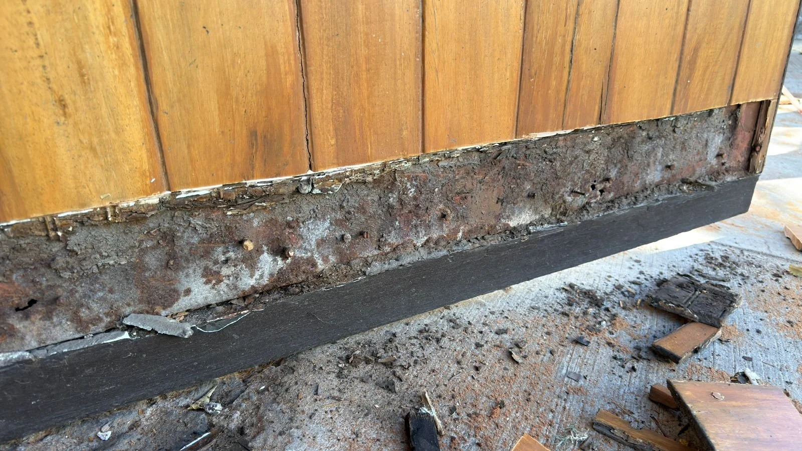 WhatsApp Image 2026-01-26 at 6.03.43 PM (1).jpeg