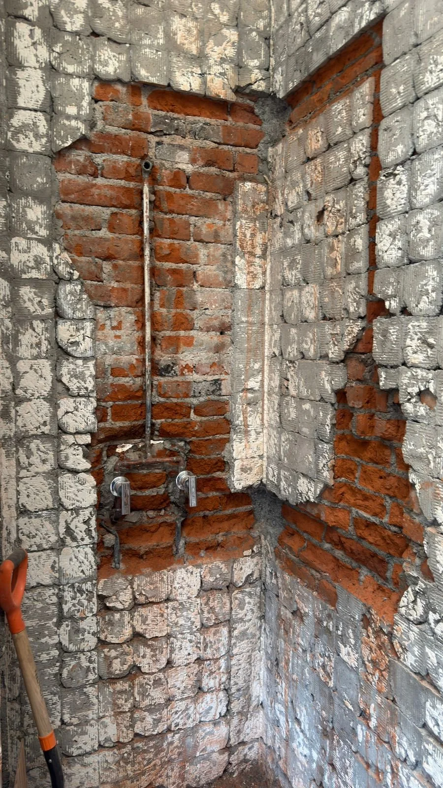 WhatsApp Image 2026-01-29 at 6.07.49 PM.jpeg