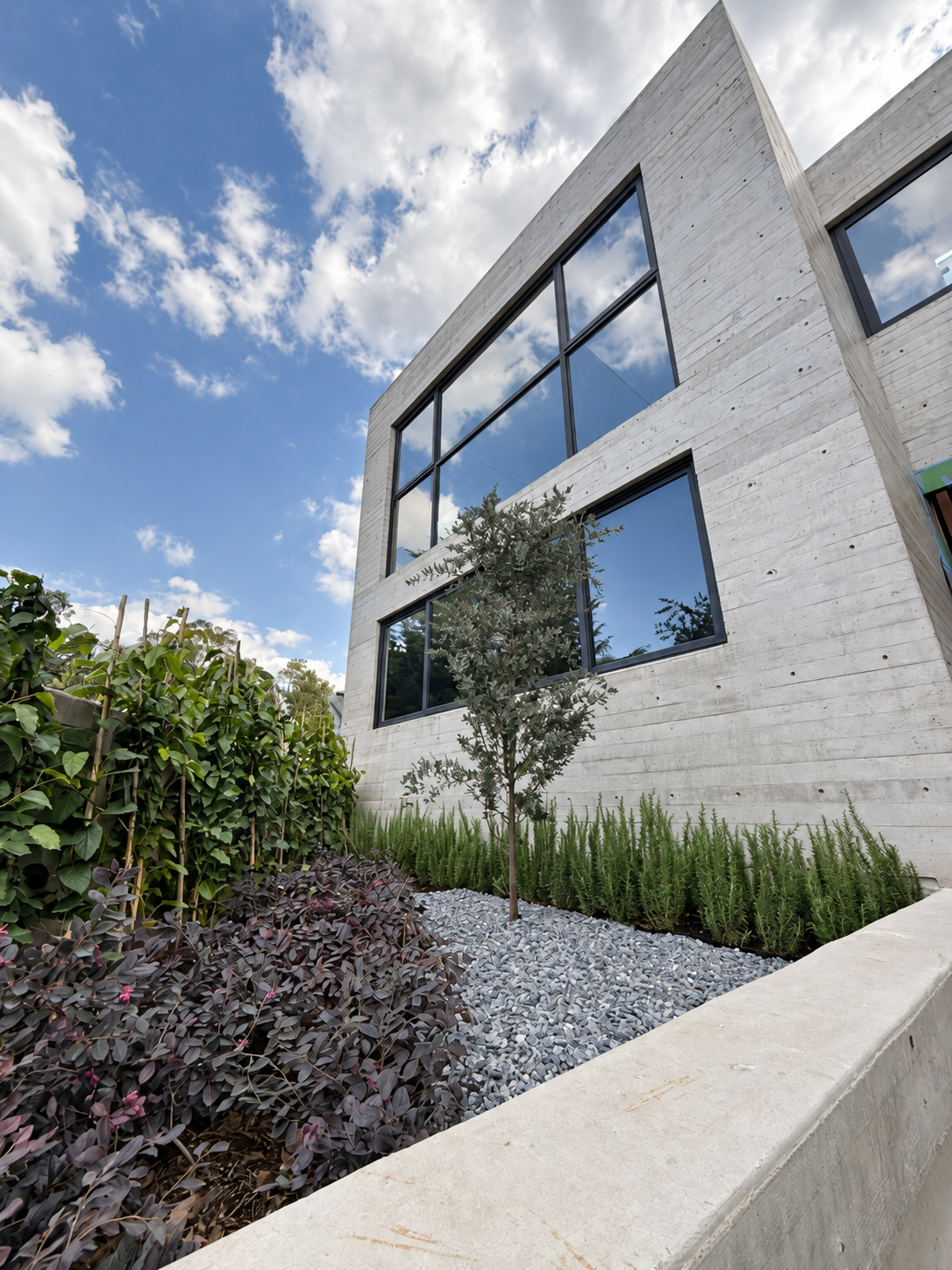 Fachada de vivienda contemporánea de concreto aparente, con grandes ventanales de marcos negros y jardín.