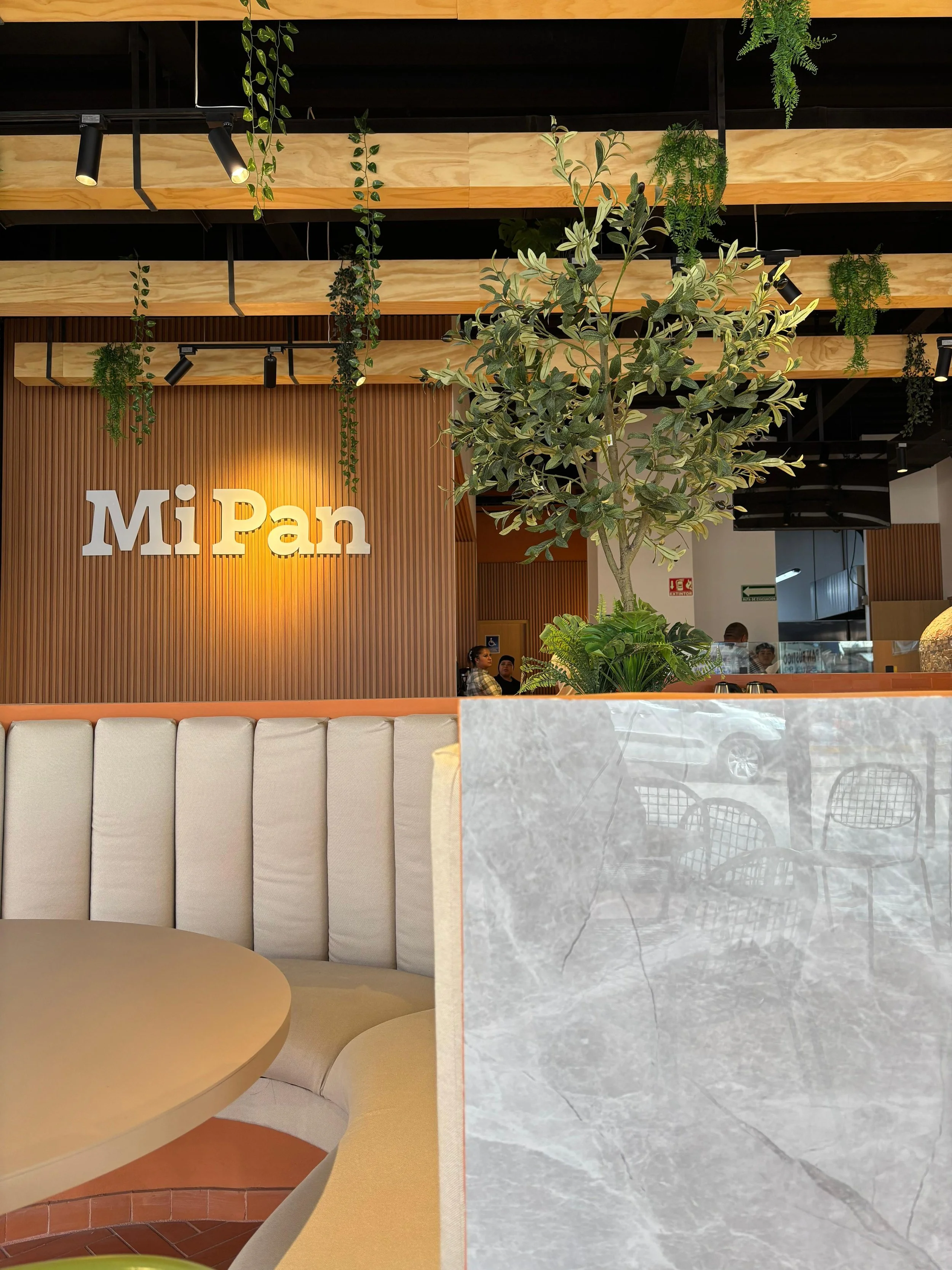 WhatsApp Image 2025-09-03 at 4.00.05 PM.jpeg