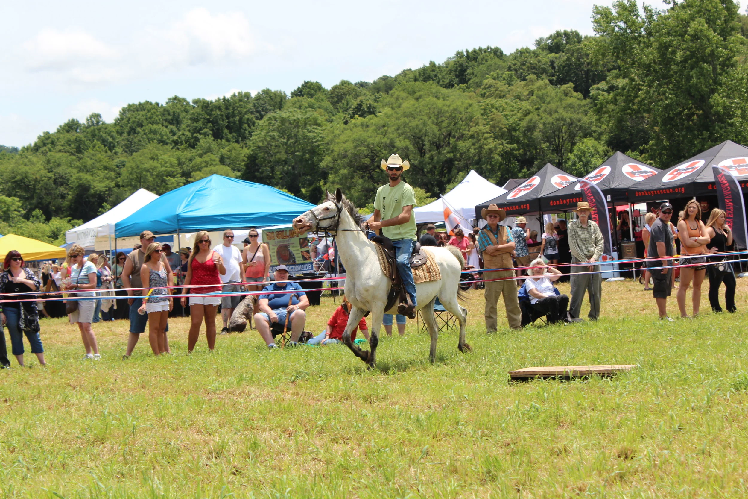 Horse and Hound 129.JPG