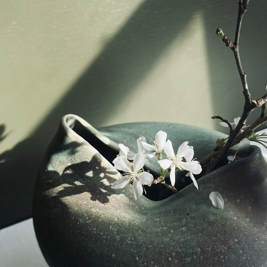 Concave flower 3.jpg