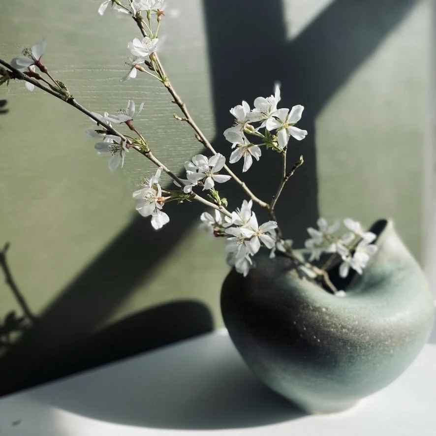 Concave flower 1.jpg