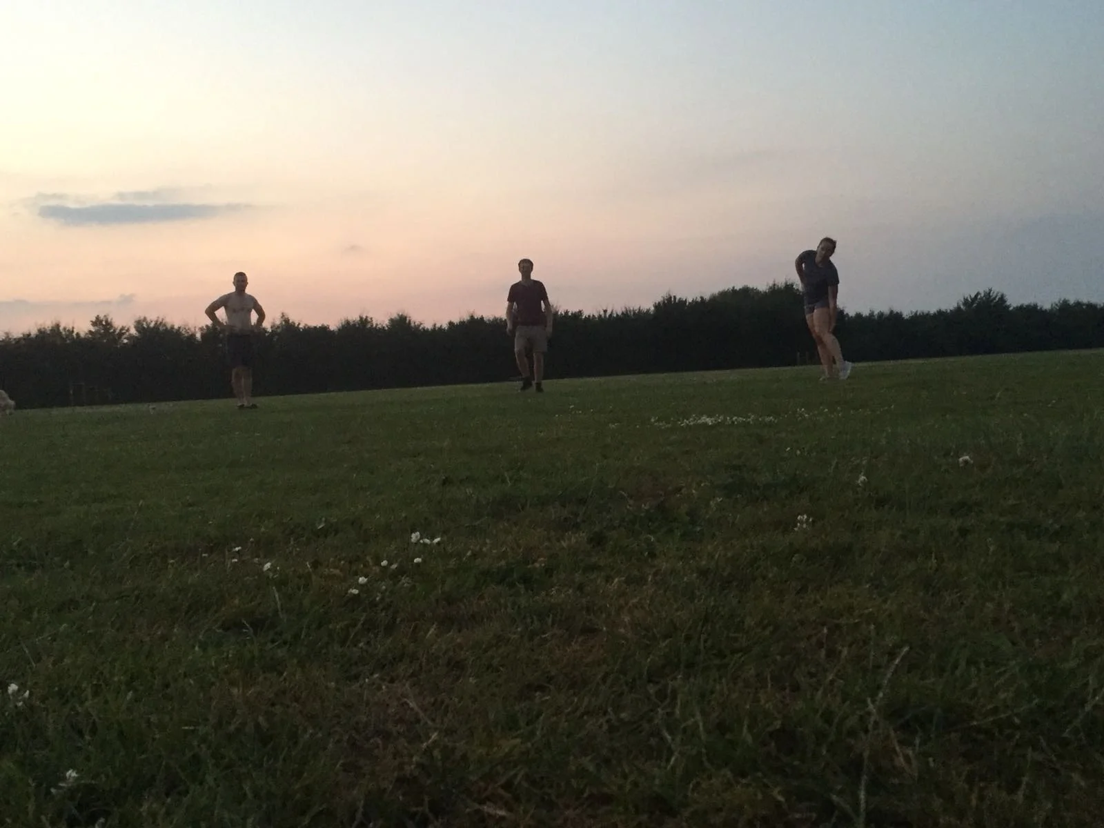 c39c13aa-c5e8-4a95-b2ae-6e3d8424155d.jpg