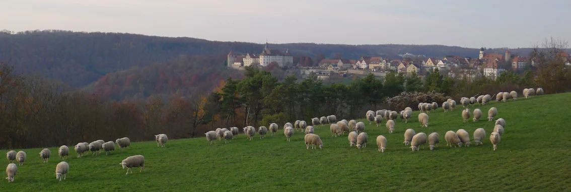 SchlossBanner.jpg