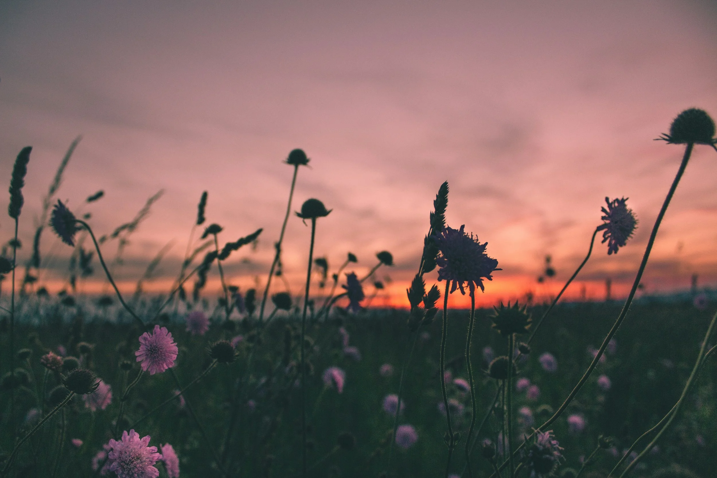 Grief in Community: An 8-Week Circle