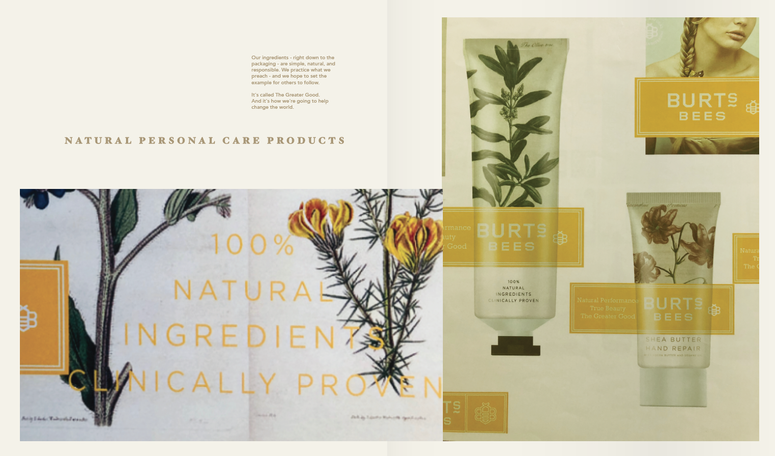 Screen Shot 2019-01-08 at 1.15.50 PM.png