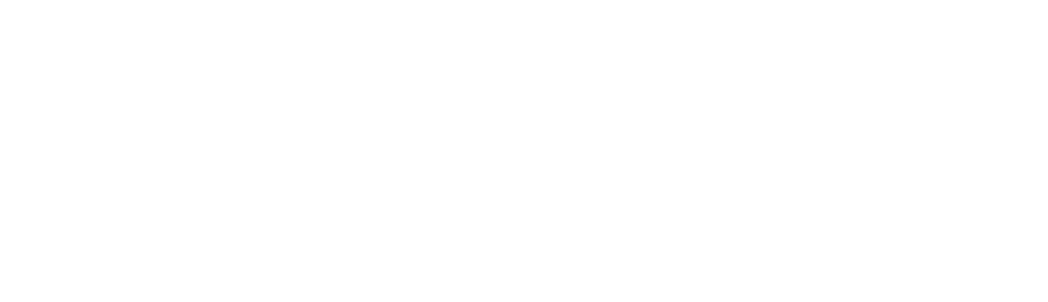 Long AO Logo in White.png