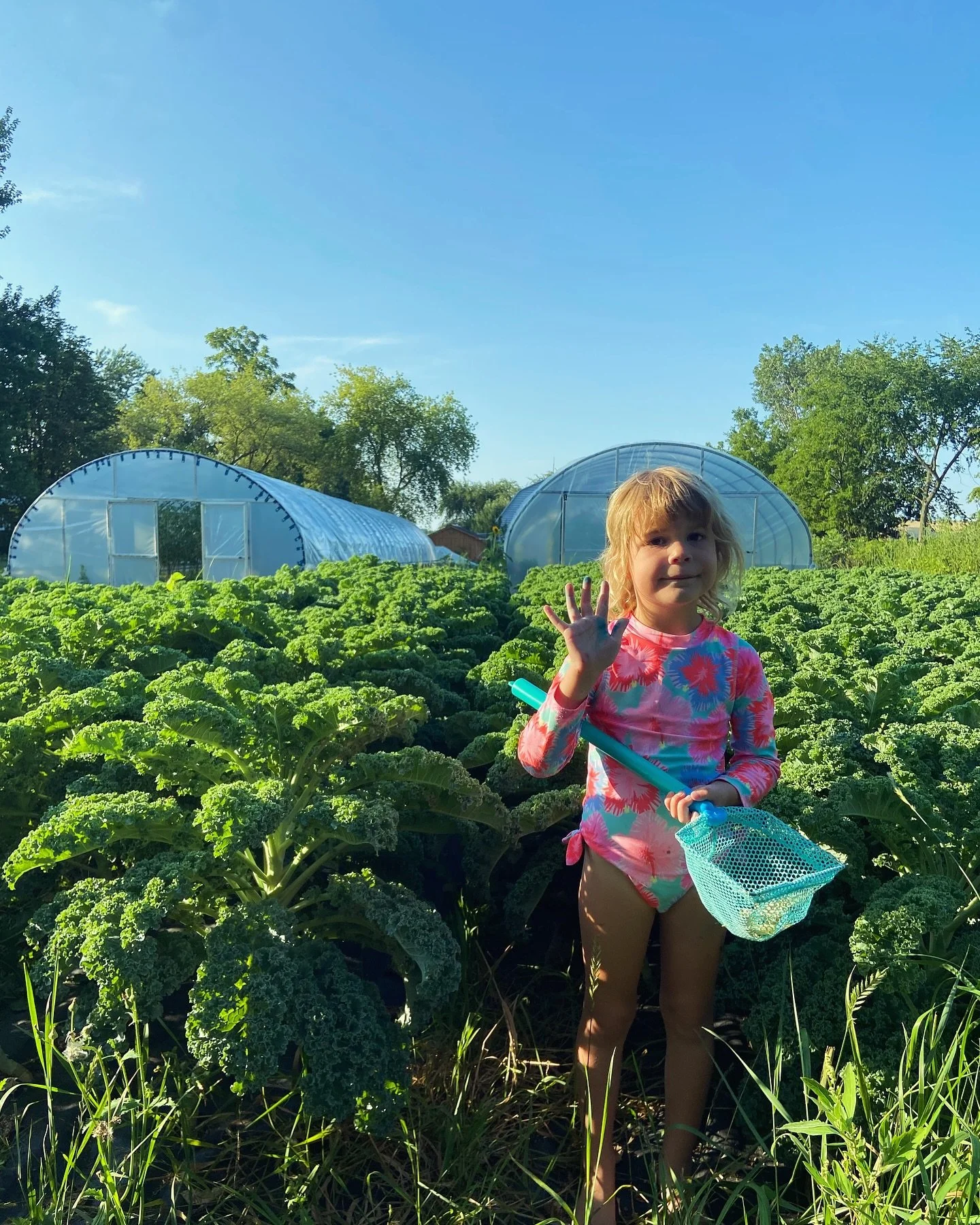 🌞Summer 2024: beautiful bugs, first sungold tastes, a great crew (still missing @shayanne.deboer), kale forest for @greens.sarnia, so much abundance and sun and love. 

We hope you soak up the last drops of summer this weekend. The last weekend of g