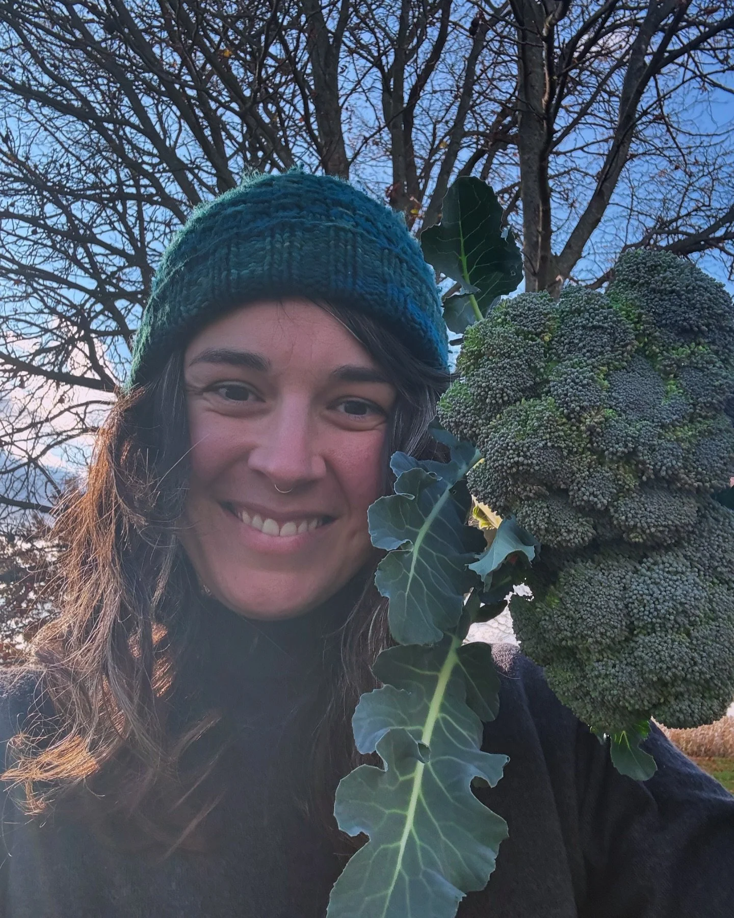 The last couple of weeks of the 2024 growing season have felt like a total miracle: the dry warm fall weather has prolonged our harvest and given us bumper crops of incredible broccoli, salad greens, roots and more! 

Come feast on this delicious loc