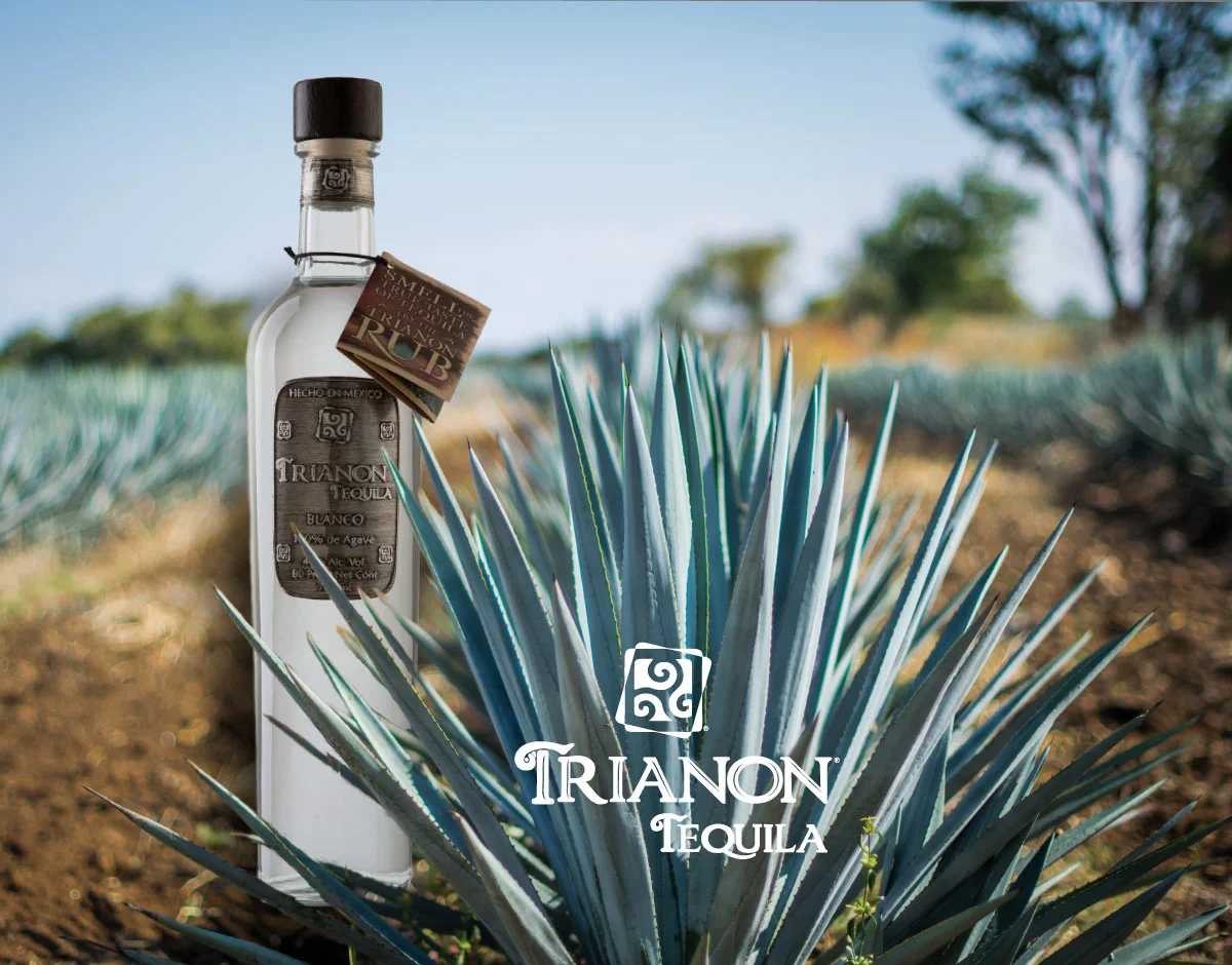 trianon-bottles-3.jpg
