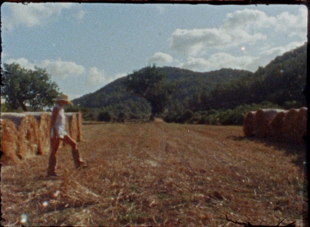 Groß (Still 2026-03-17 144711_1.3.1).jpeg