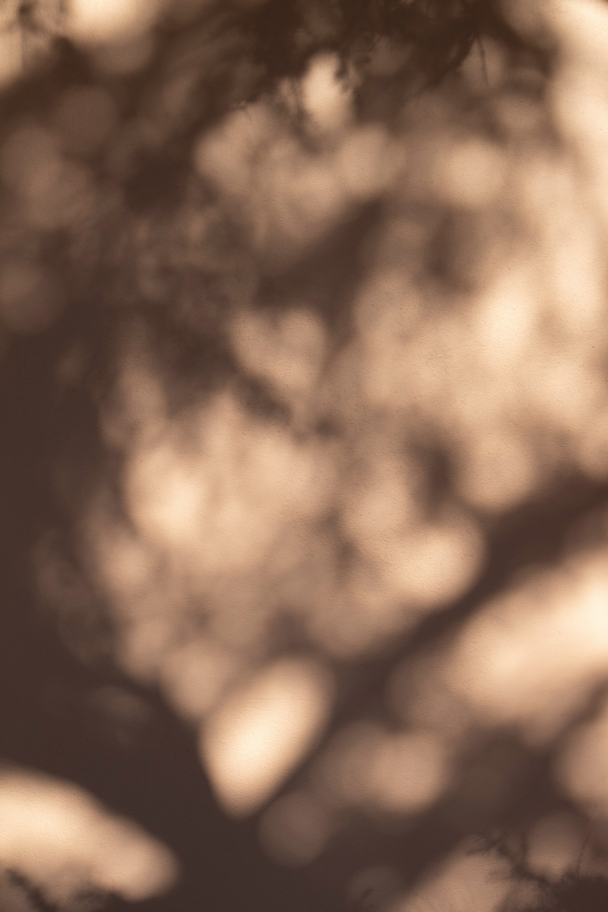 Close-up of a blurred, abstract scene with soft, warm tones and bokeh effect, possibly depicting out-of-focus lights or natural elements.