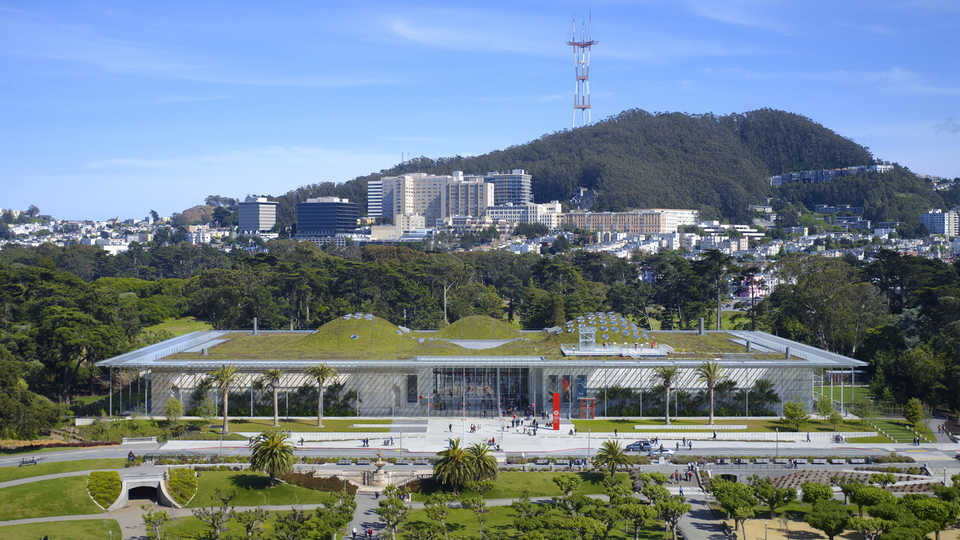 California Academy of Science