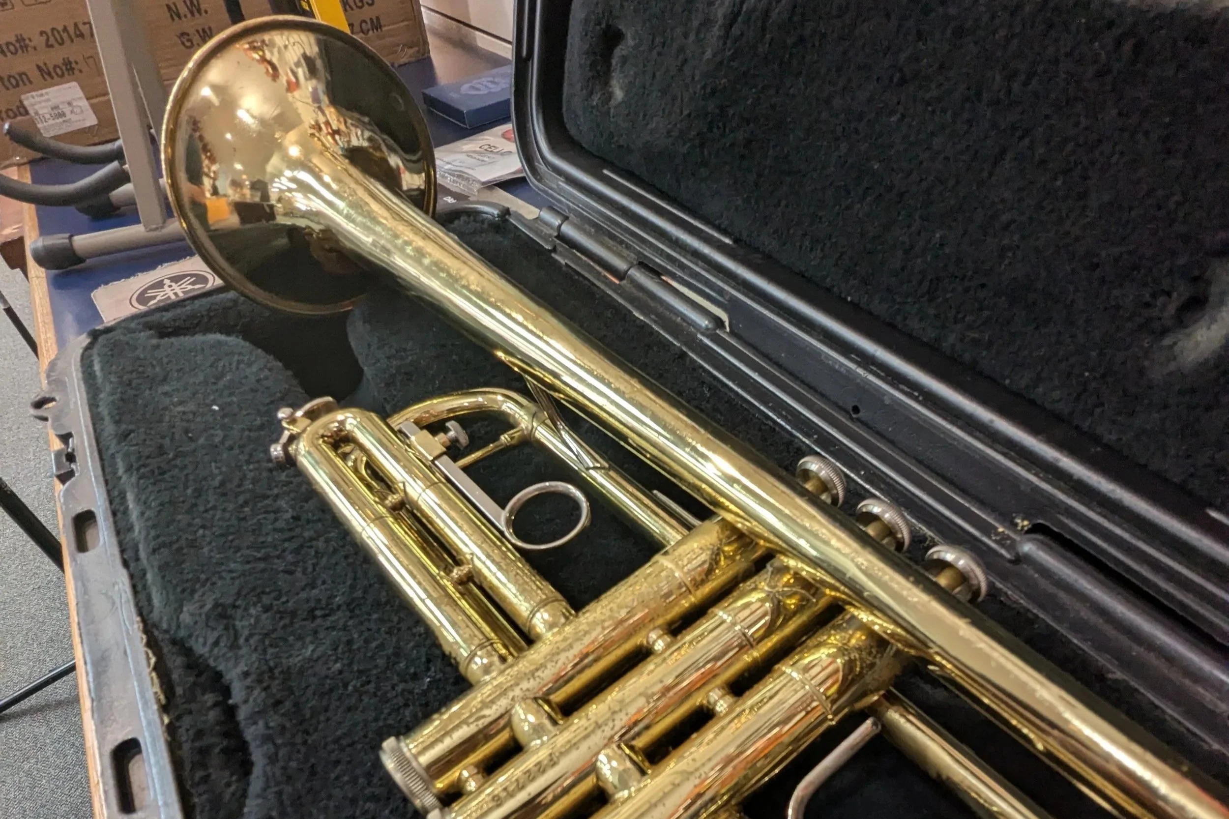 PXL_20260819_205211370.jpg