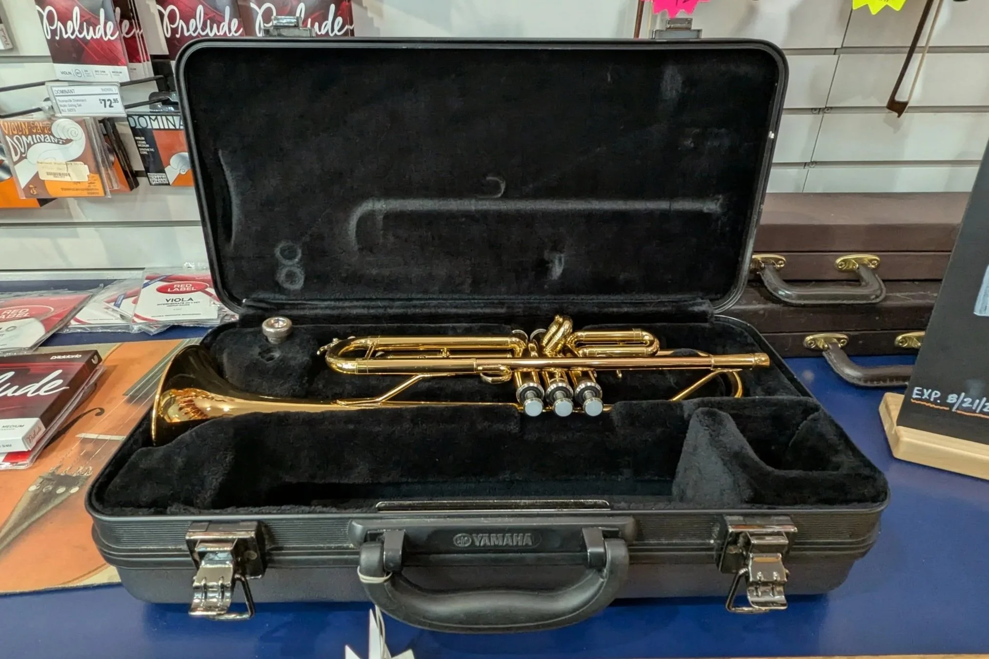PXL_20260819_210945438.jpg