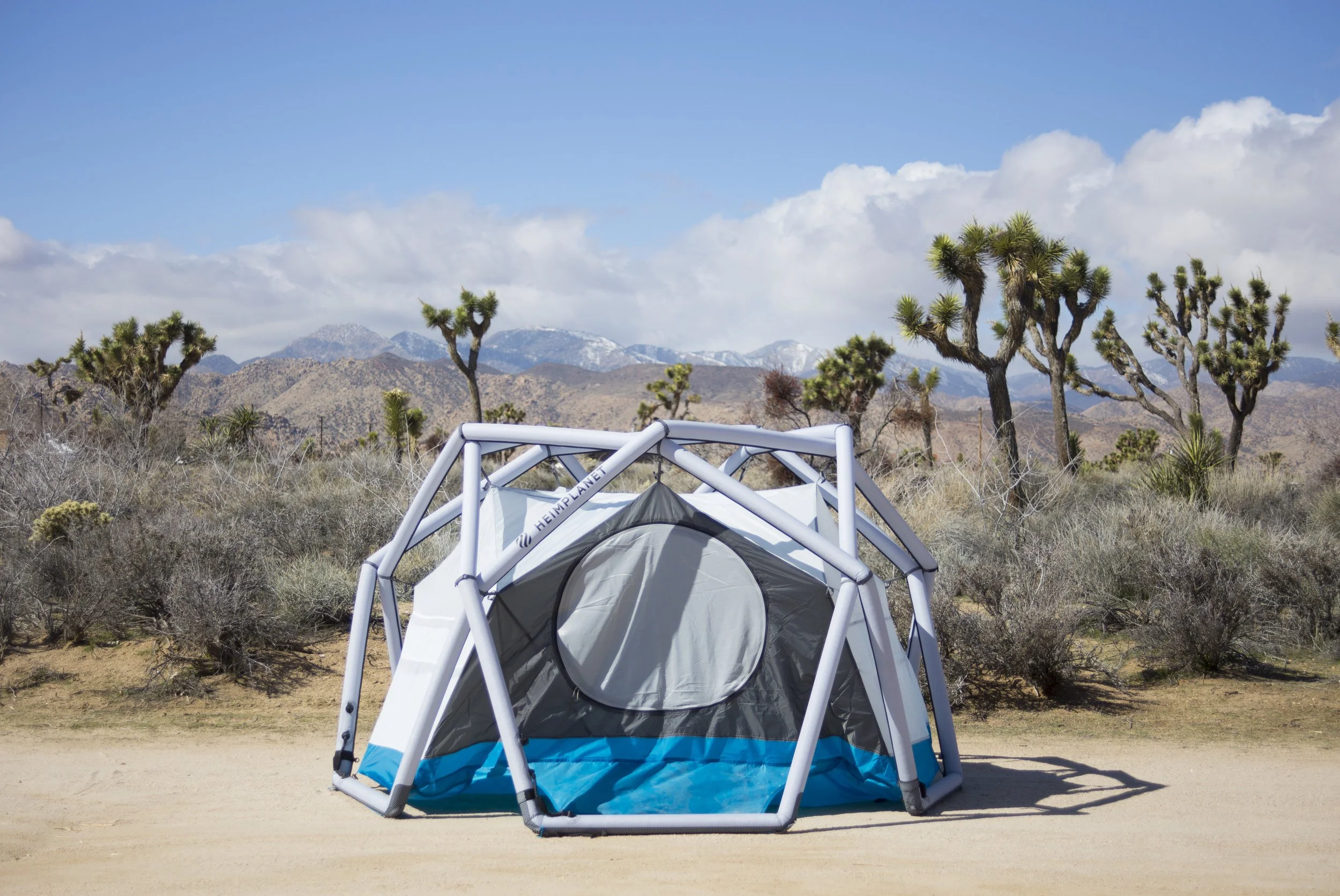 image-asset (5).jpeg