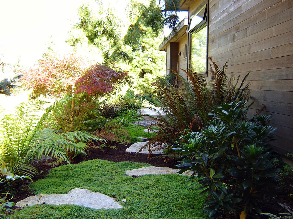 sagegardenservices_14.jpg