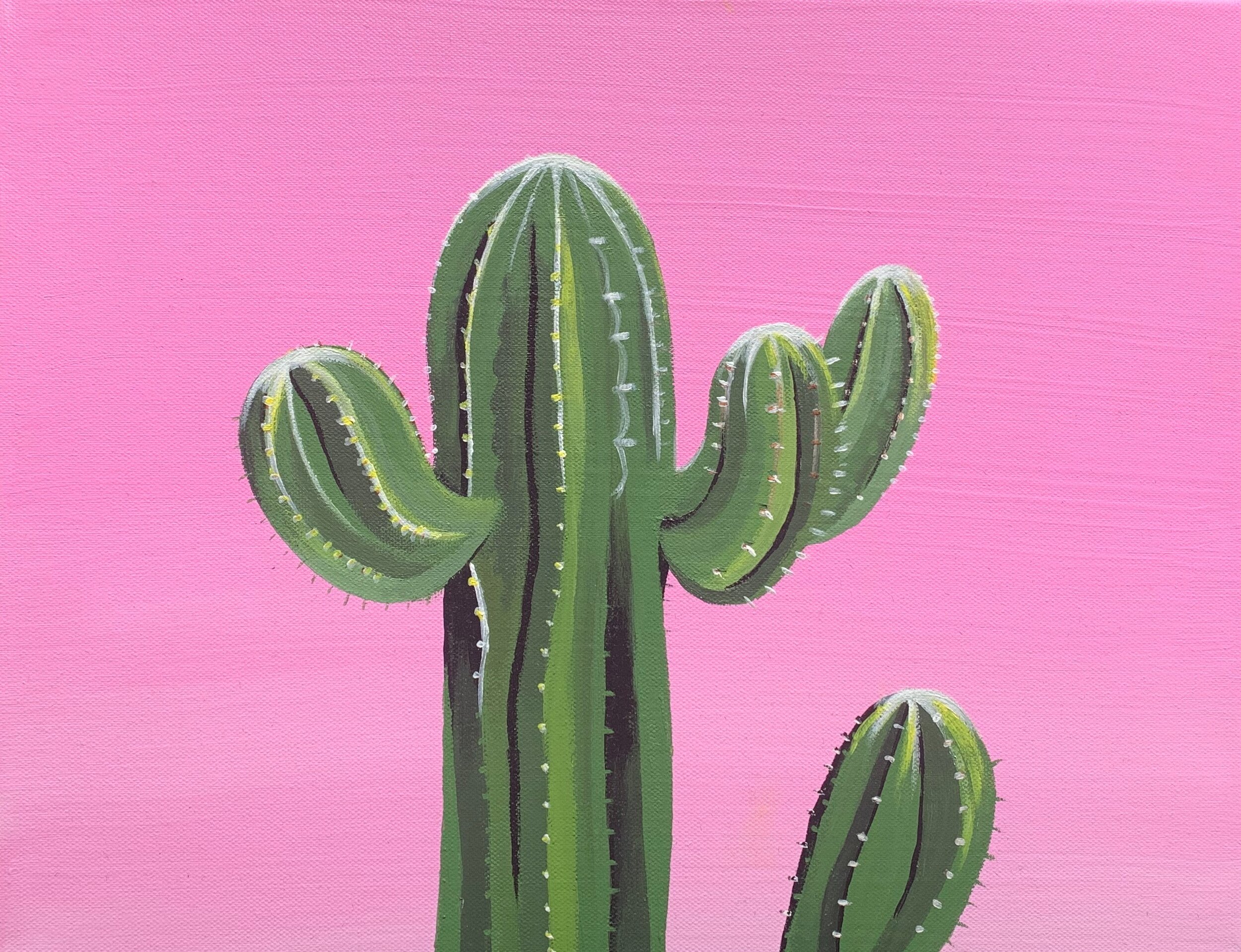 Cactus