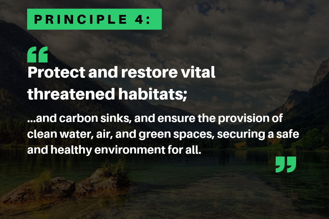 Principle 4