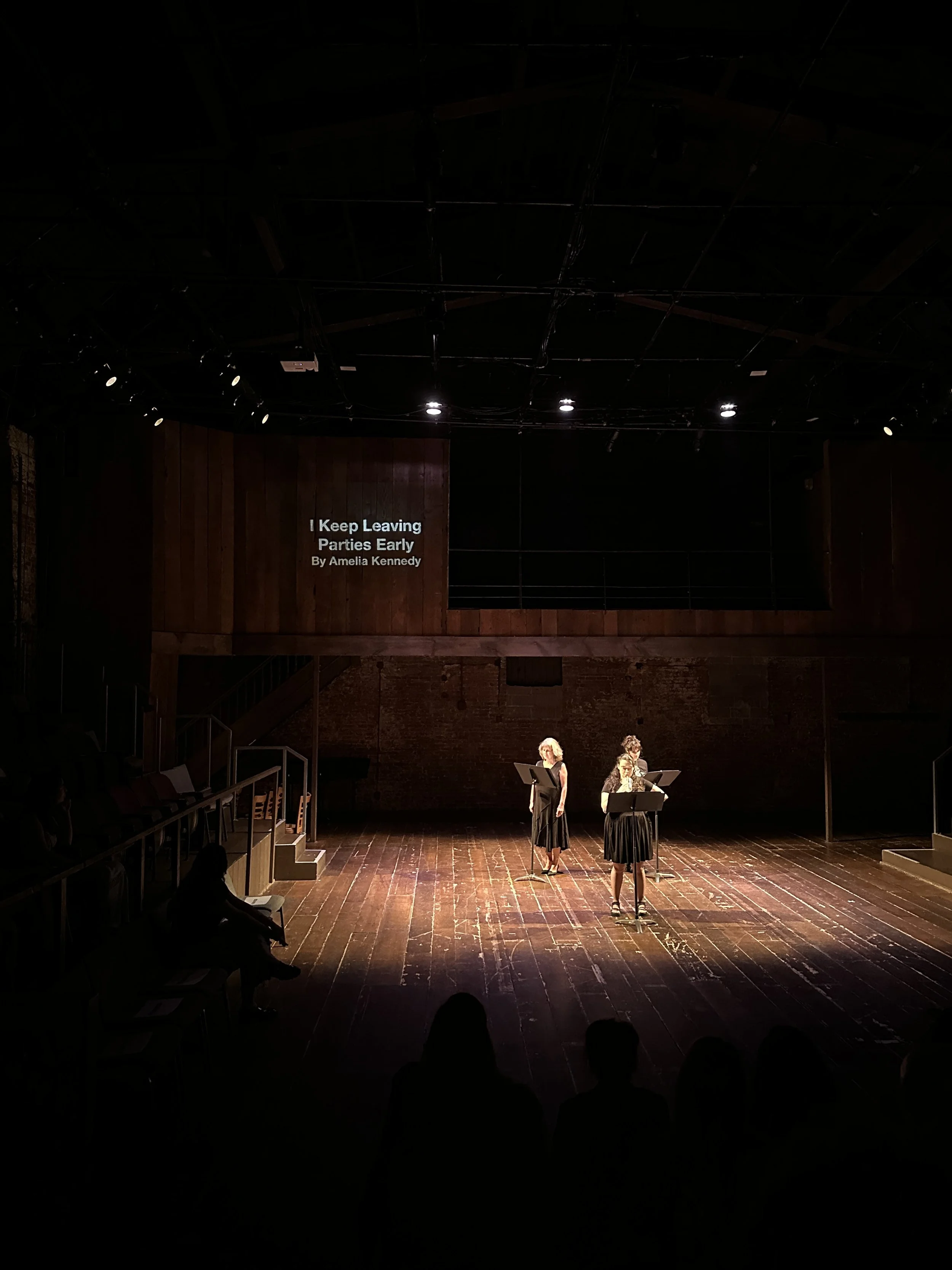 PARTIES PHOTO FOR WEBSITE.JPG