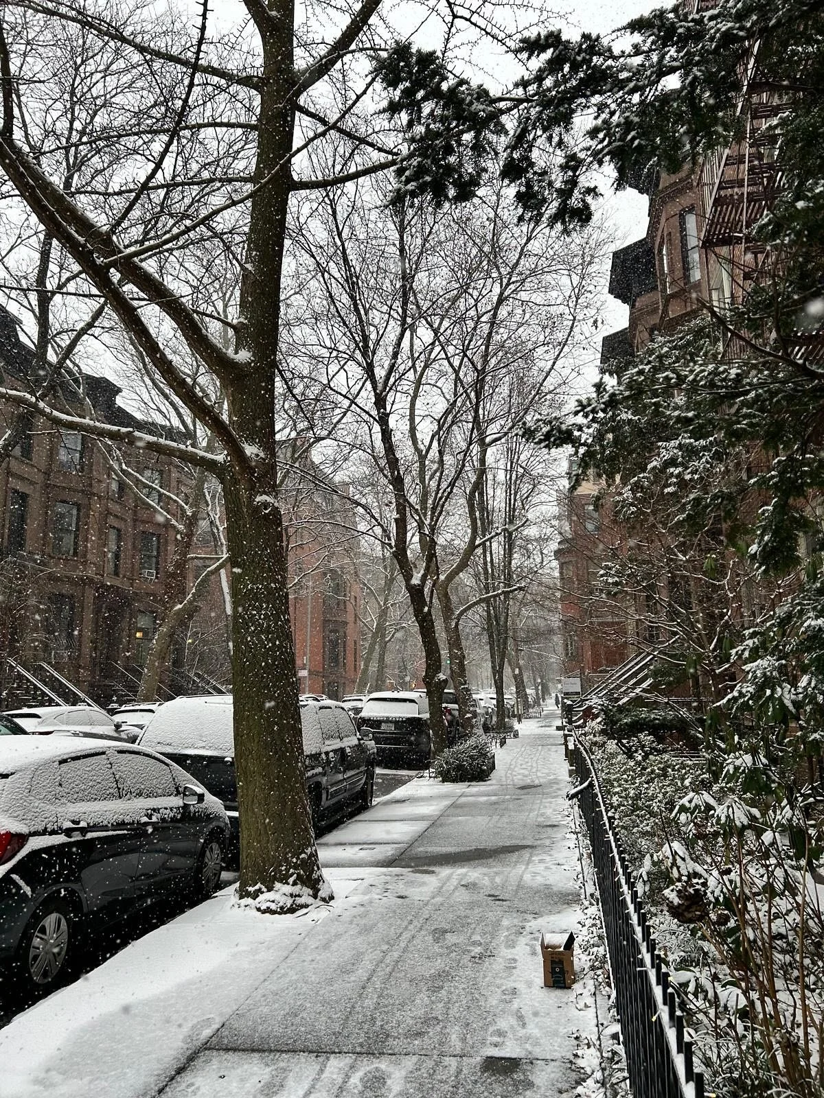 2025 midway point reflection.

Including:

Snow days, a wrist sprain, theatre working, theatre seeing, &lsquo;I Keep Leaving Parties Early&rsquo;, &lsquo;Why Must We Pray Screaming?&rsquo;, chopping off my hair, San Francisco, live music, museum visi