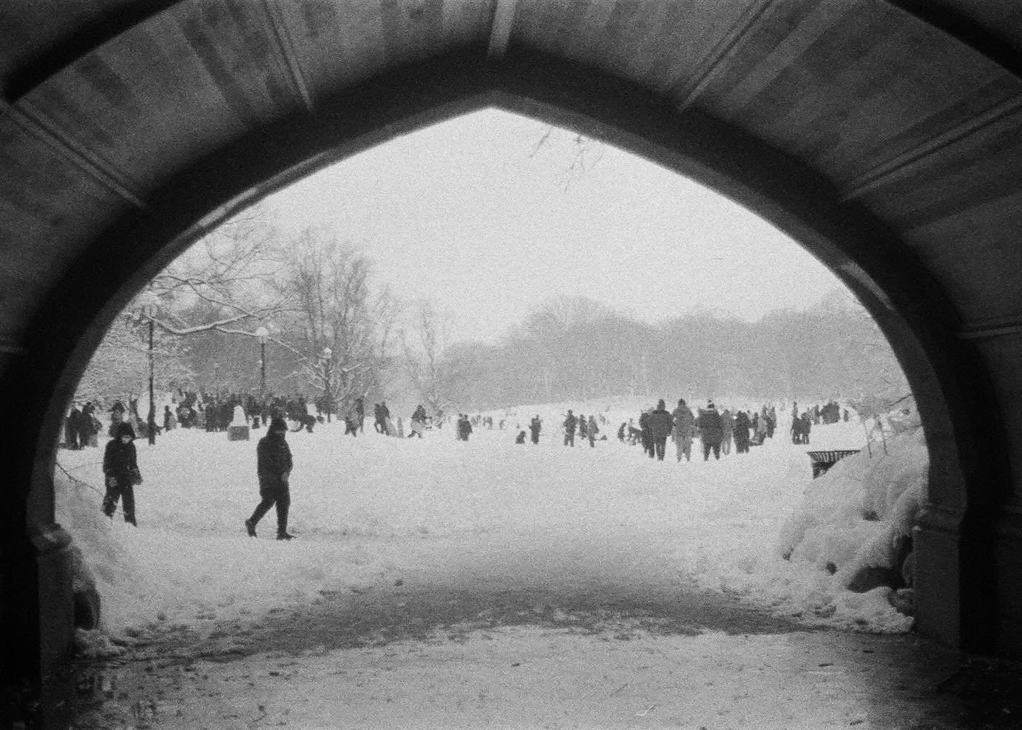 Film from the aftermath of the blizzard.
February 2026.
