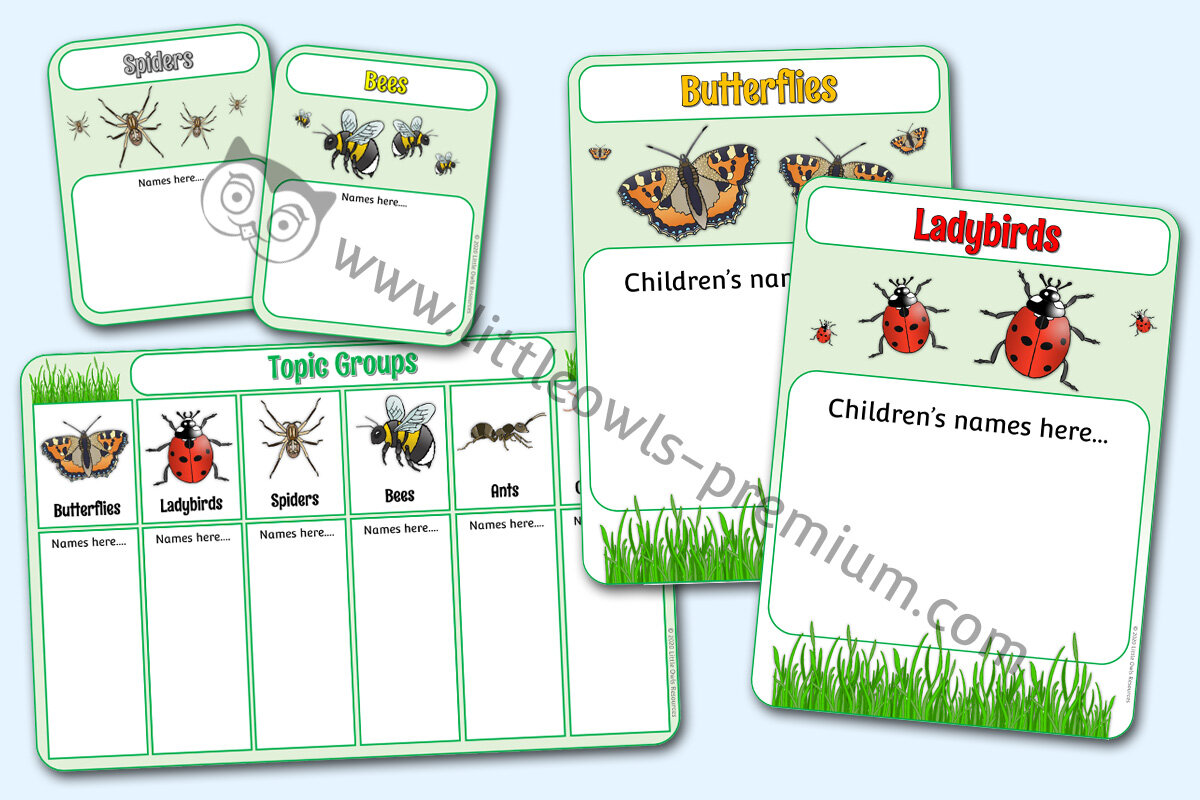 GROUP CHARTS/POSTERS/DISPLAY - MINIBEASTS