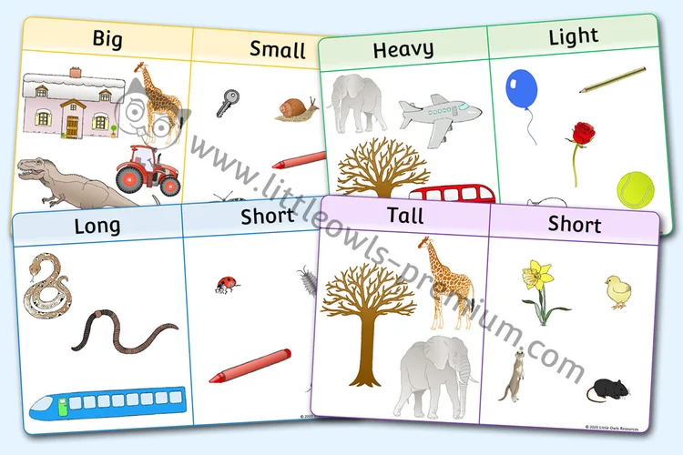 Size, Weight, Length & Height Comparison Posters cover