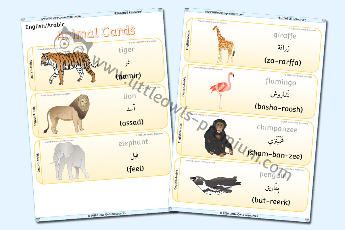 ARABIC - ANIMAL CARDS
