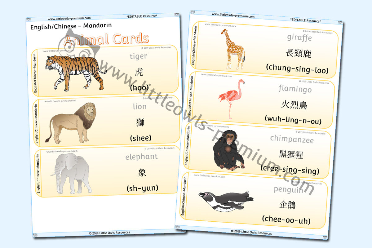 CHINESE MANDARIN - ANIMAL CARDS