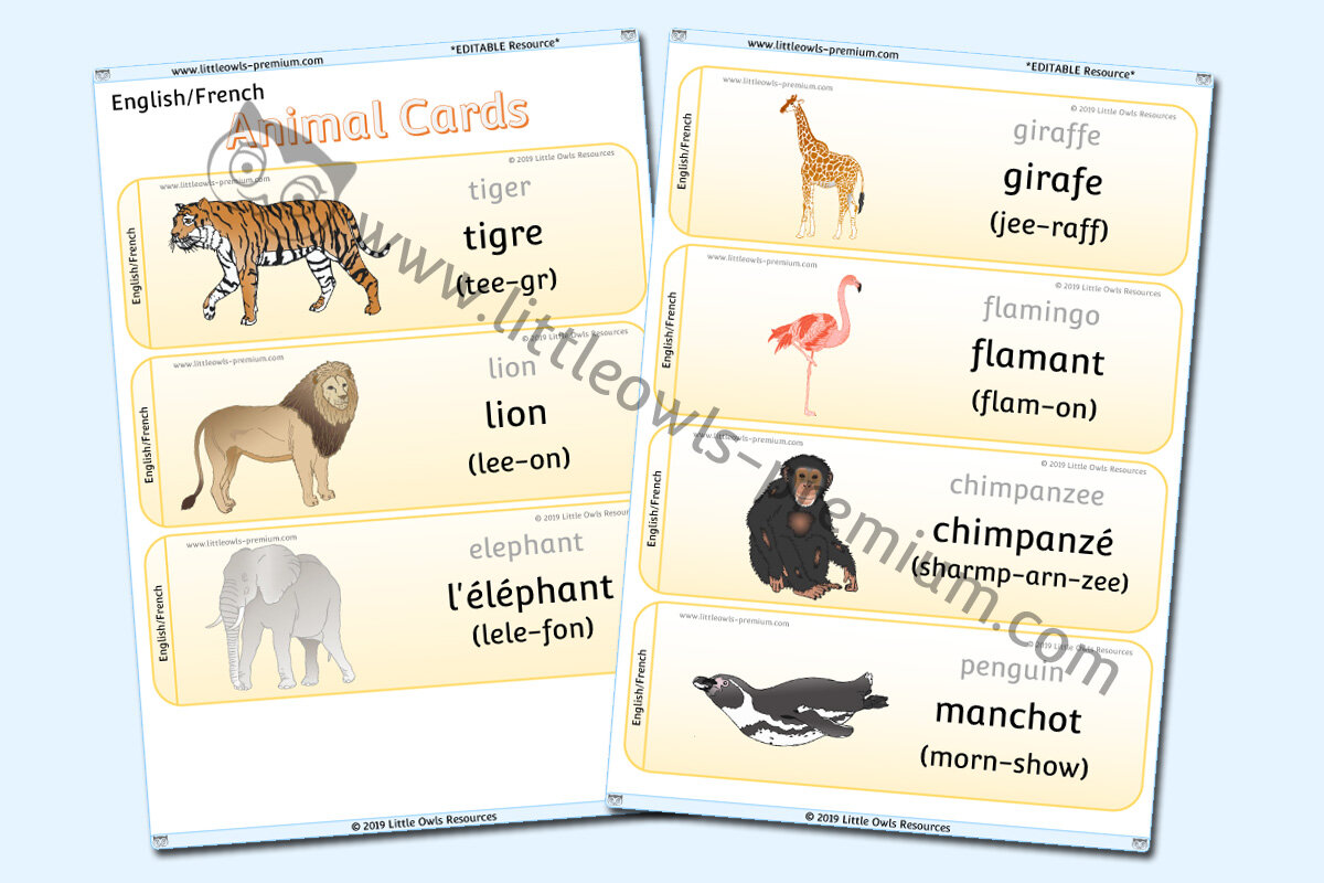 FRENCH - ANIMAL CARDS