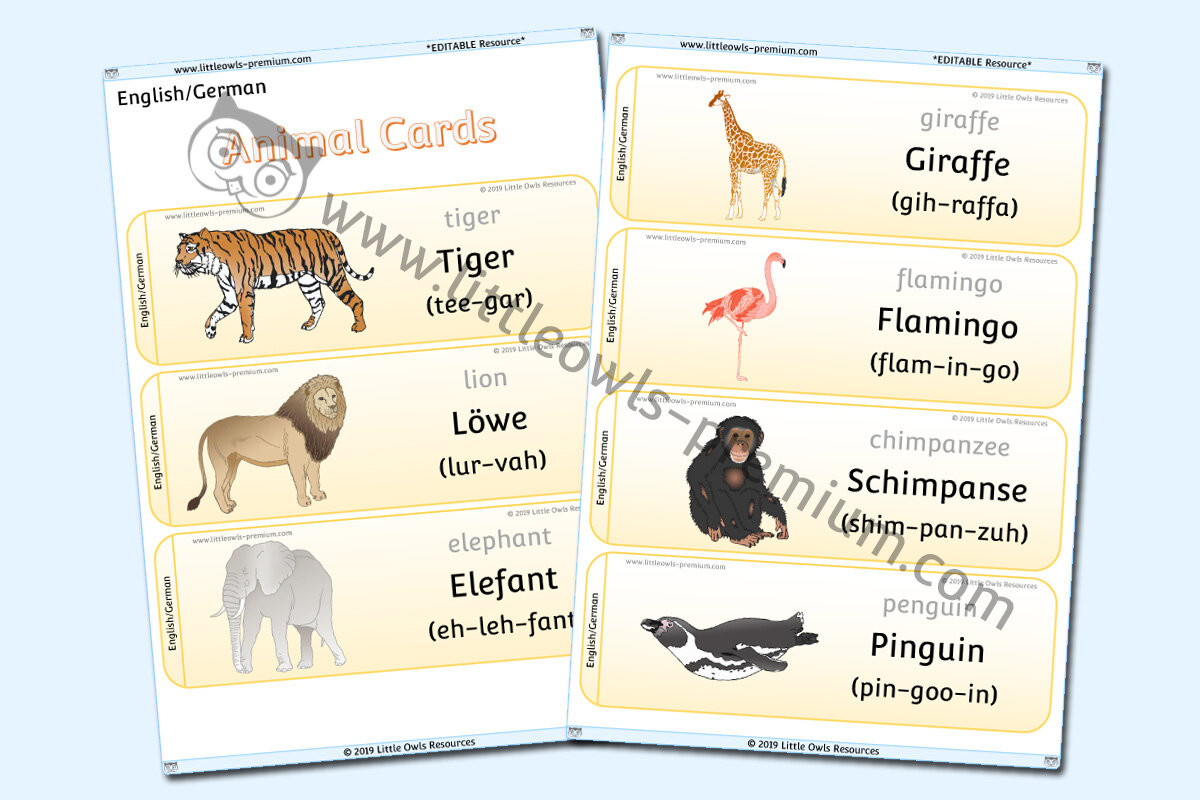 GERMAN - ANIMAL CARDS