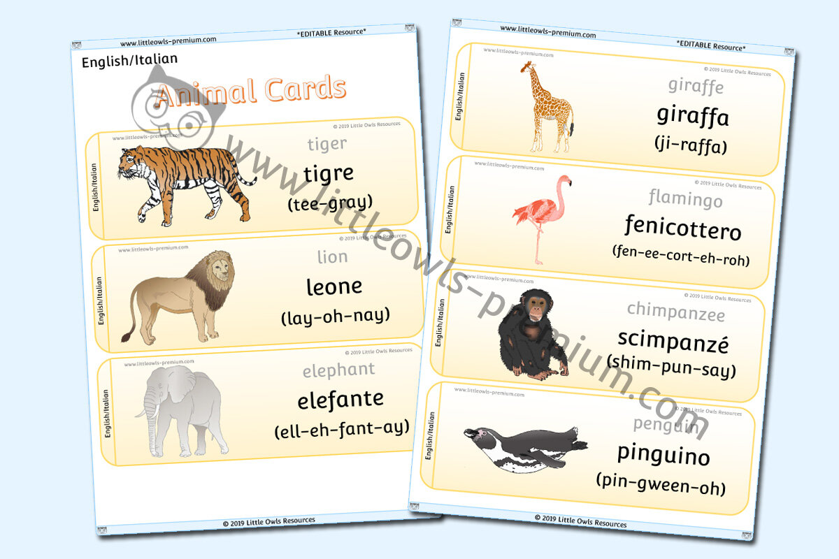 ITALIAN - ANIMAL CARDS
