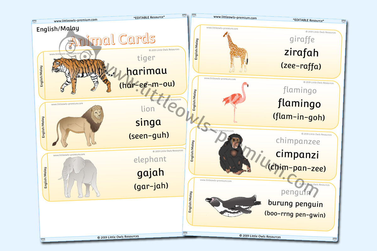 MALAY - ANIMAL CARDS
