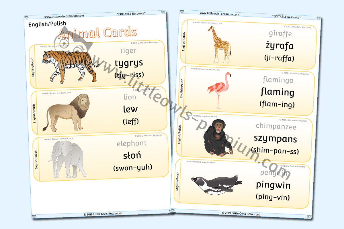 POLISH - ANIMAL CARDS
