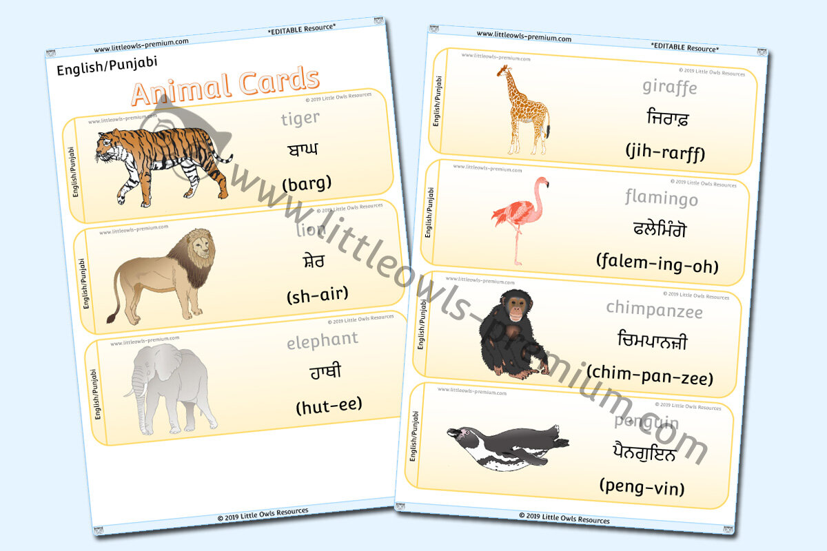 PUNJABI - ANIMAL CARDS