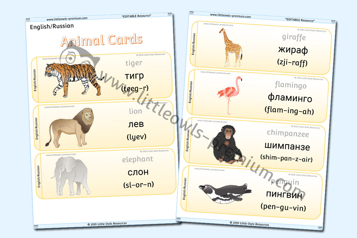 RUSSIAN - ANIMAL CARDS