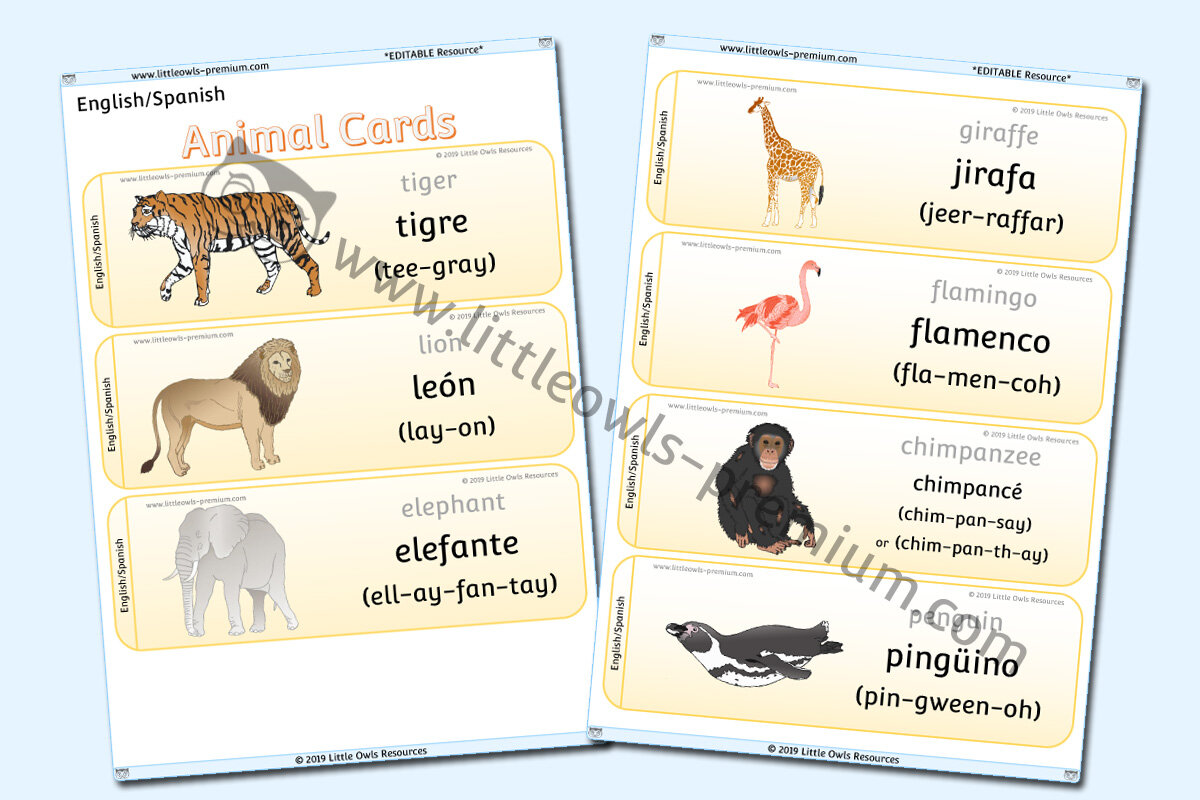 SPANISH - ANIMAL CARDS
