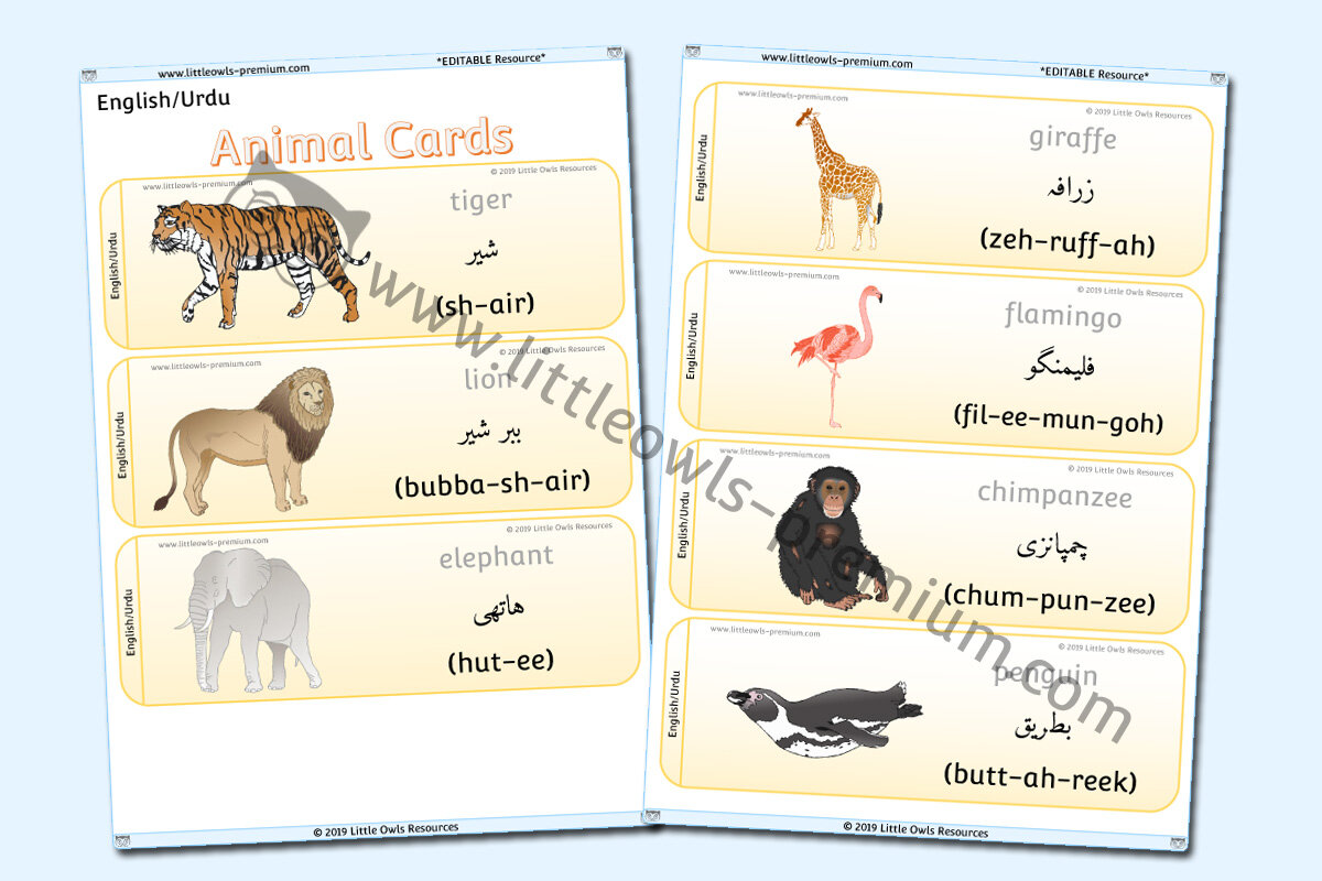 URDU - ANIMAL CARDS