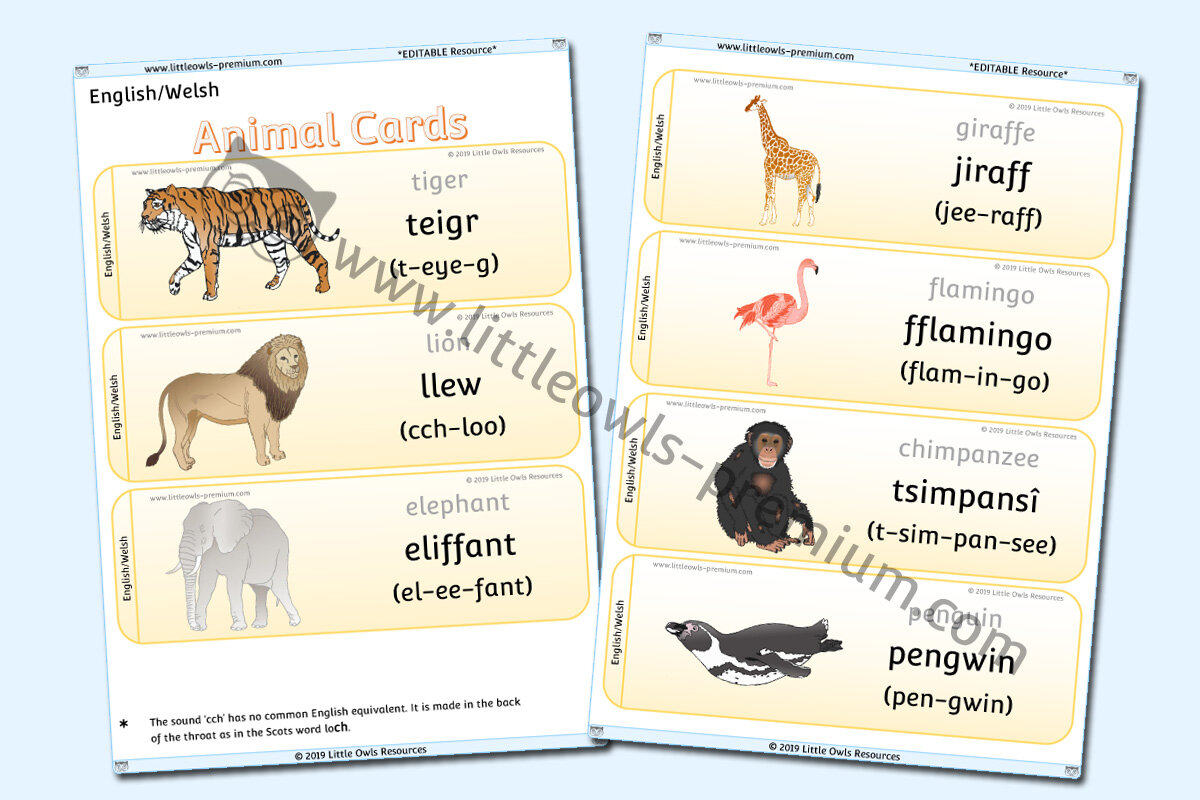 WELSH - ANIMAL CARDS