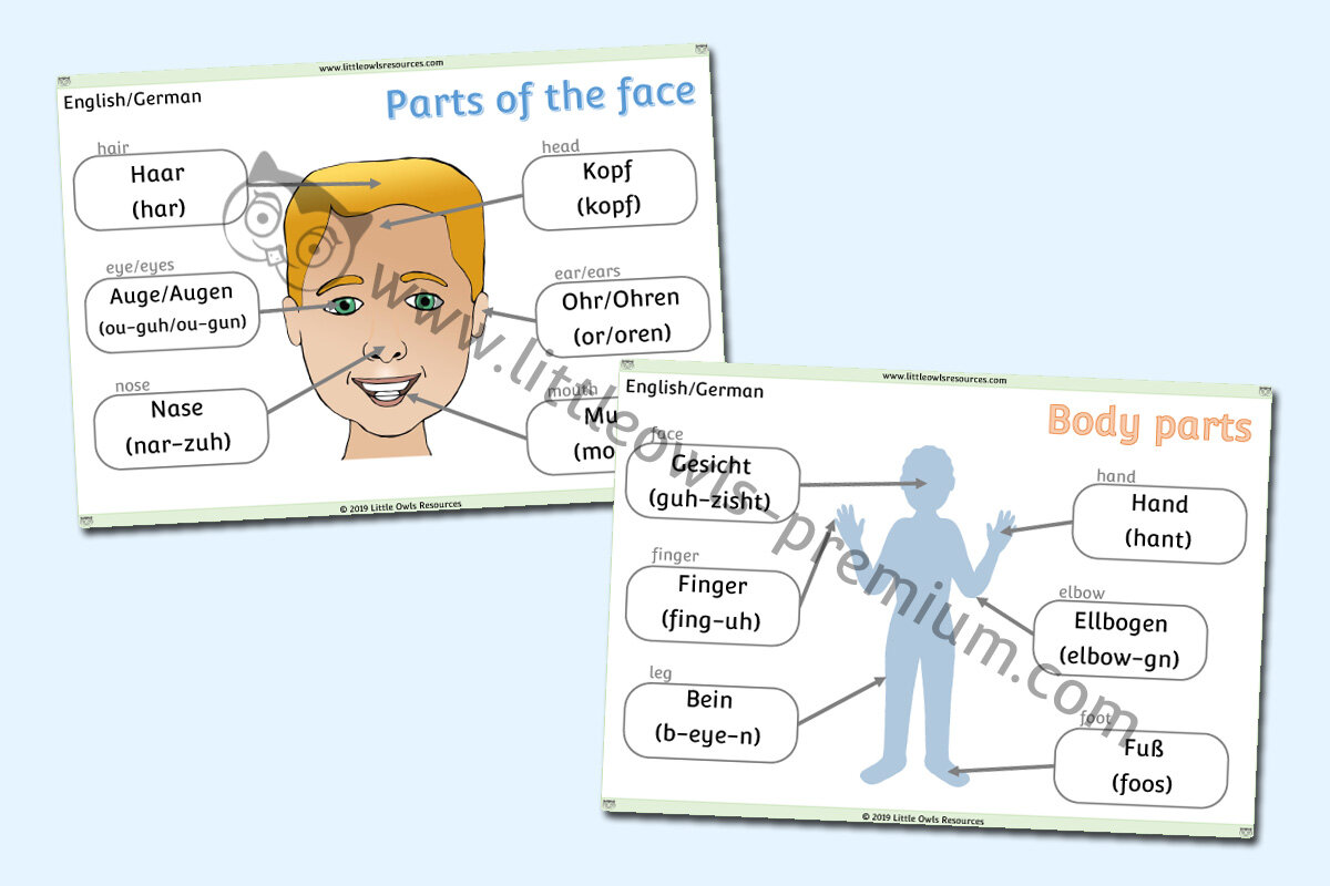 GERMAN - FACE & BODY PARTS