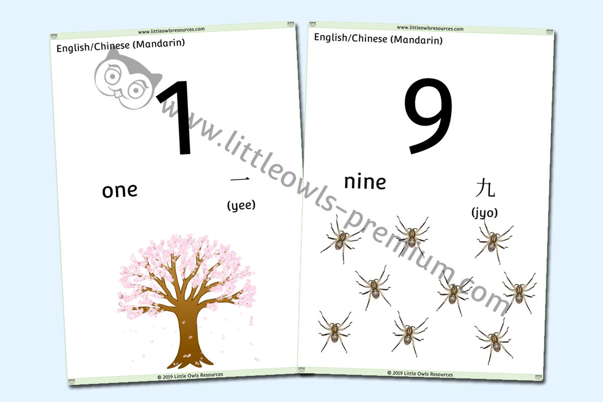 DUAL LANGUAGE - CHINESE MANDARIN - Counting 1-10 (Free Sample)