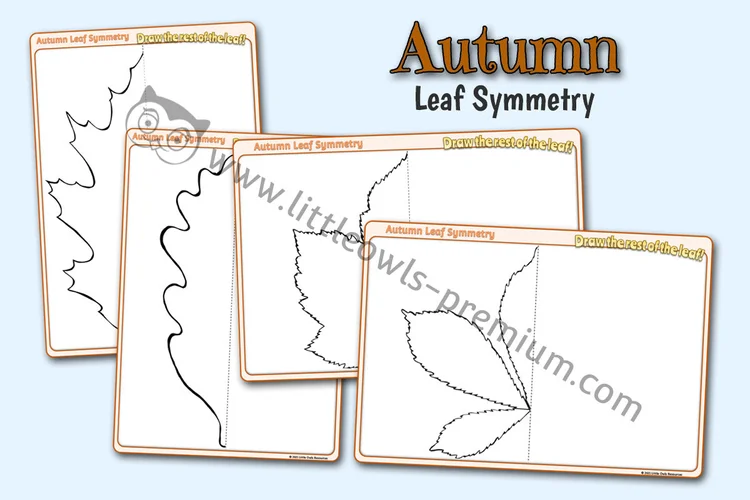 Autumn Leaf Symmetry cover