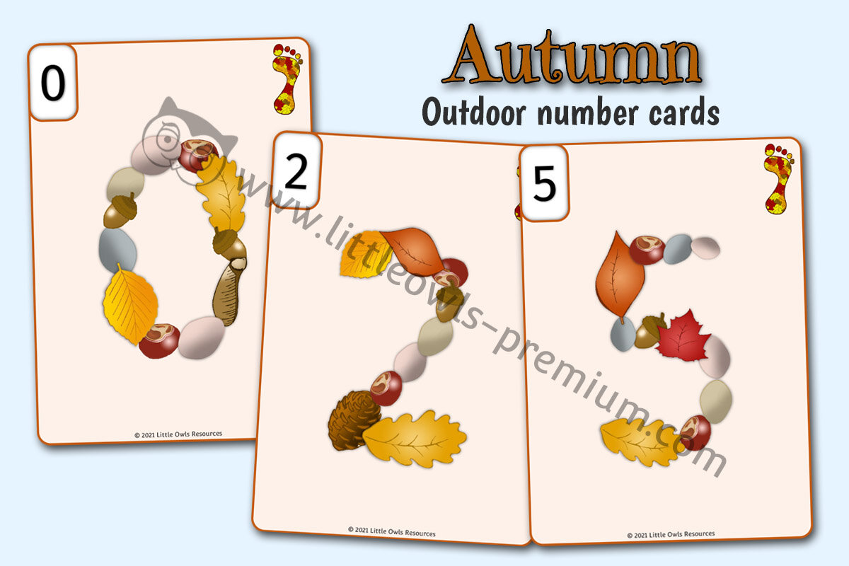 AUTUMN NUMBER CARDS - Natural Items