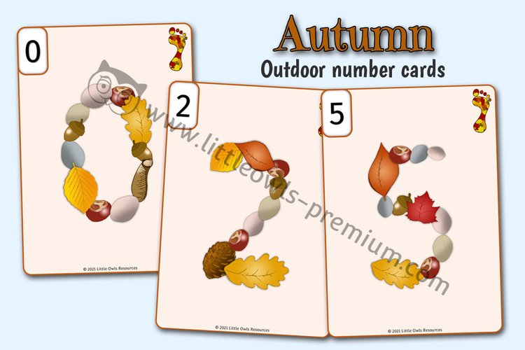 Autumn Number Cards — Natural Items cover